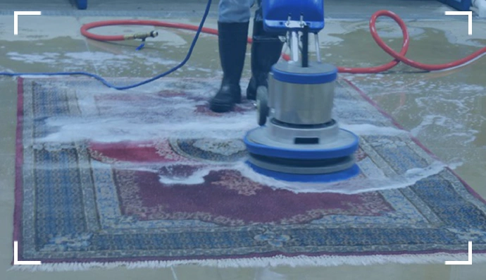 halı yıkama cekmekoy