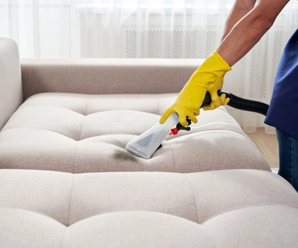 Gebze kanepe yıkama